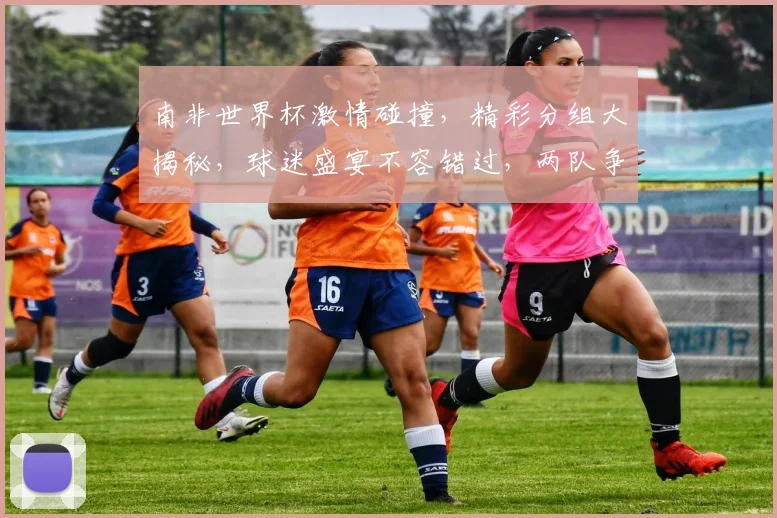 南非世界杯激情碰撞，精彩分组大揭秘，球迷盛宴不容错过，两队争锋谁将问鼎
