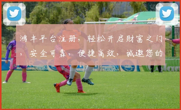 鸿丰平台注册，轻松开启财富之门，安全可靠，便捷高效，诚邀您的加入，体验非凡